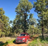 Wallingat Forest drive - Your Accommodation