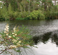 Wallingat National Park - Your Accommodation