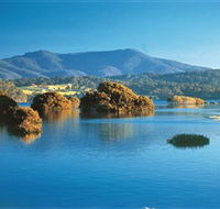 Wagonga Picnic Area - Your Accommodation