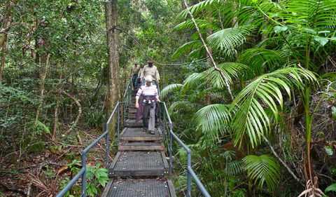 Falls Walking Track - Your Accommodation 2