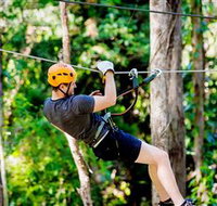 TreeTop Challenge Currumbin - Your Accommodation