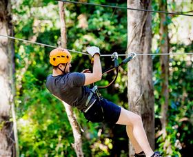 TreeTop Challenge Currumbin - Your Accommodation 0