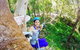 TreeTop Challenge Currumbin - thumb 3