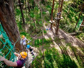 TreeTop Challenge Currumbin - Your Accommodation 2