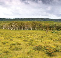 Yuraygir National Park - Your Accommodation