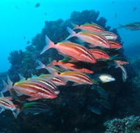 Flat Rock Dive Site