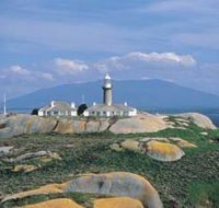 Montague Island Nature Reserve