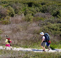 Yuraygir coastal walk - Your Accommodation