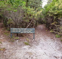 Angophora grove walking track - Your Accommodation