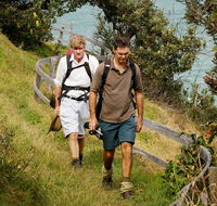 Illaroo to Wooli walking track - Your Accommodation