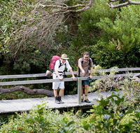 Wilsons Headland walking track - Your Accommodation