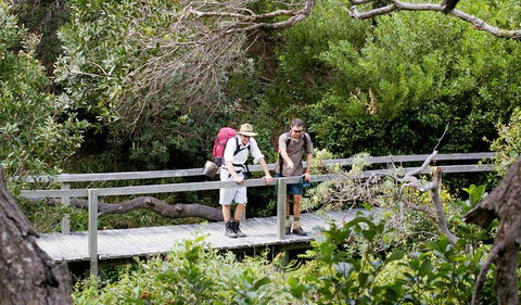 Wilsons Headland Walking Track - Your Accommodation 0