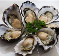 Tathra Oysters - Your Accommodation