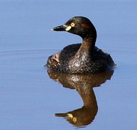 Panboola Wetlands - Your Accommodation