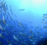 Cape Byron Marine Park - Your Accommodation