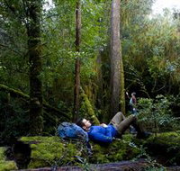 The Tarkine Drive - Your Accommodation