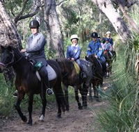 Mirravale Horse Riding School - Your Accommodation