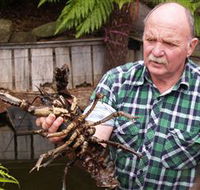 Lobster Ponds - Your Accommodation