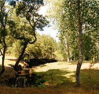 Oldina Picnic Area - Your Accommodation