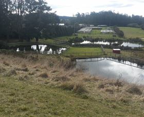 Guide Falls Farm - Your Accommodation 0