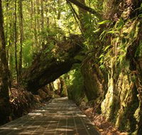 Philosopher Falls - Your Accommodation