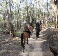 Silver Brumby Trails - Your Accommodation