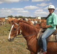 Myella Farm Stay Tours - Your Accommodation