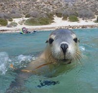 Calypso Star Charters - Your Accommodation