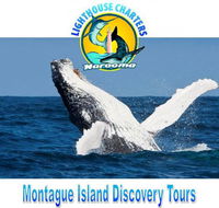 Lighthouse Charters Narooma - Your Accommodation