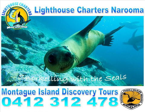 Lighthouse Charters Narooma - Your Accommodation 11