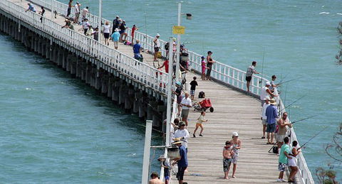 Fraser Coast Amazing Fishing Trails - Your Accommodation 24