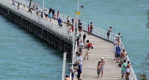 Fraser Coast Amazing Fishing Trails - Your Accommodation 25