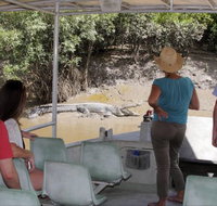 Whitsunday Crocodile Safari - Your Accommodation