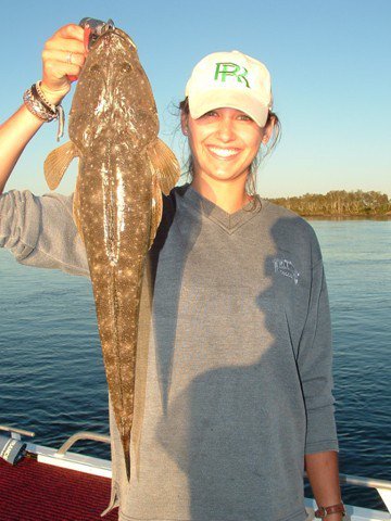 Reel Time Charters Yamba - Your Accommodation 2