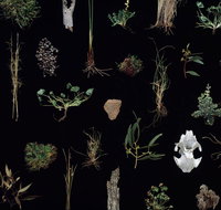 Weswal Gallery - Your Accommodation