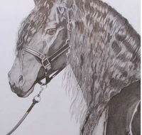 Great Lakes Art Society - Your Accommodation