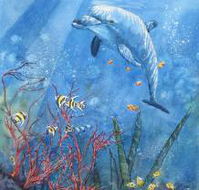 Nadas Fine Art Gallery - Your Accommodation