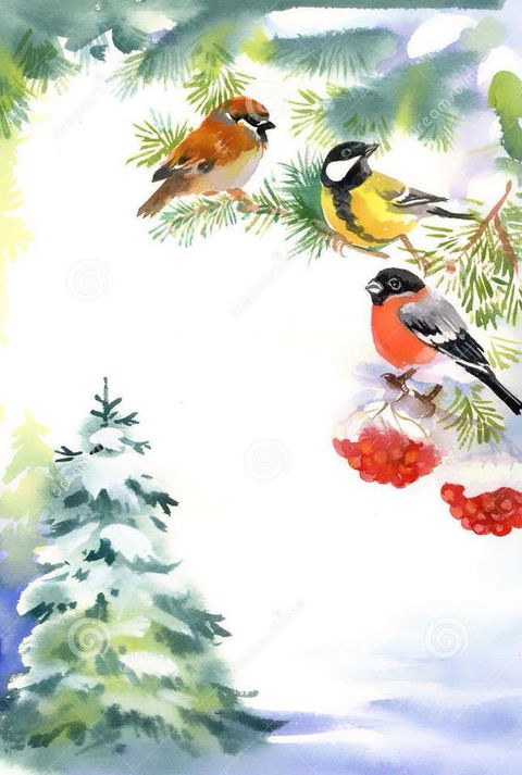 Two Birds Gallery - Your Accommodation 2