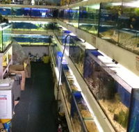 Clearwater Aquariums - Your Accommodation