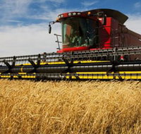 Quirindi Grain and produce - Your Accommodation