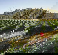 Margaret River Caves Wine and Cape Leeuwin Lighthouse Tour from Perth - Your Accommodation