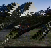 Stargazing Busselton with Mobile Observatory - Your Accommodation