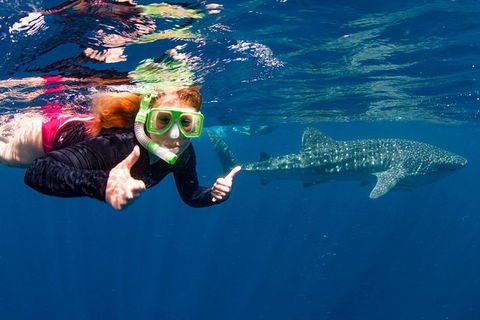 VIP Luxury Chartered Escapes, Exploring The Reef At Your Own Pace - Your Accommodation 20