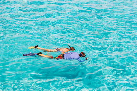 VIP Luxury Chartered Escapes, Exploring The Reef At Your Own Pace - Your Accommodation 29