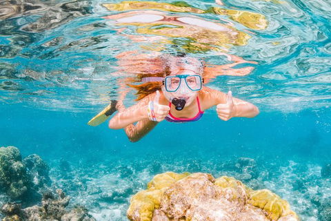 VIP Luxury Chartered Escapes, Exploring The Reef At Your Own Pace - Your Accommodation 48