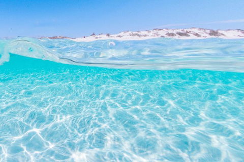 VIP Luxury Chartered Escapes, Exploring The Reef At Your Own Pace - Your Accommodation 39
