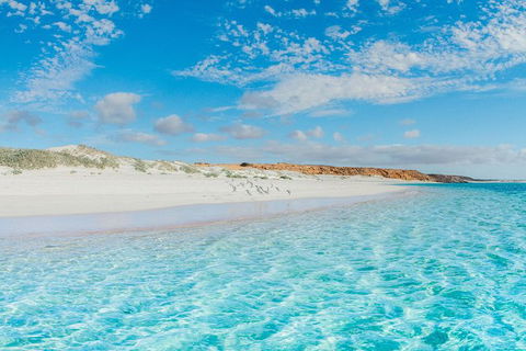VIP Luxury Chartered Escapes, Exploring The Reef At Your Own Pace - Your Accommodation 36