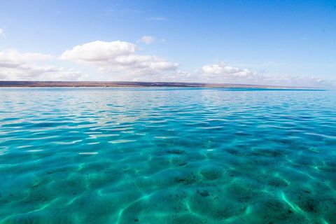 VIP Luxury Chartered Escapes, Exploring The Reef At Your Own Pace - Your Accommodation 32