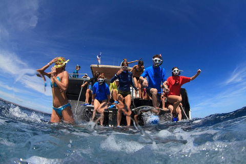 VIP Luxury Chartered Escapes, Exploring The Reef At Your Own Pace - Your Accommodation 17