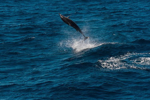 VIP Luxury Chartered Escapes, Exploring The Reef At Your Own Pace - Your Accommodation 42